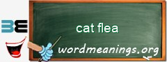WordMeaning blackboard for cat flea